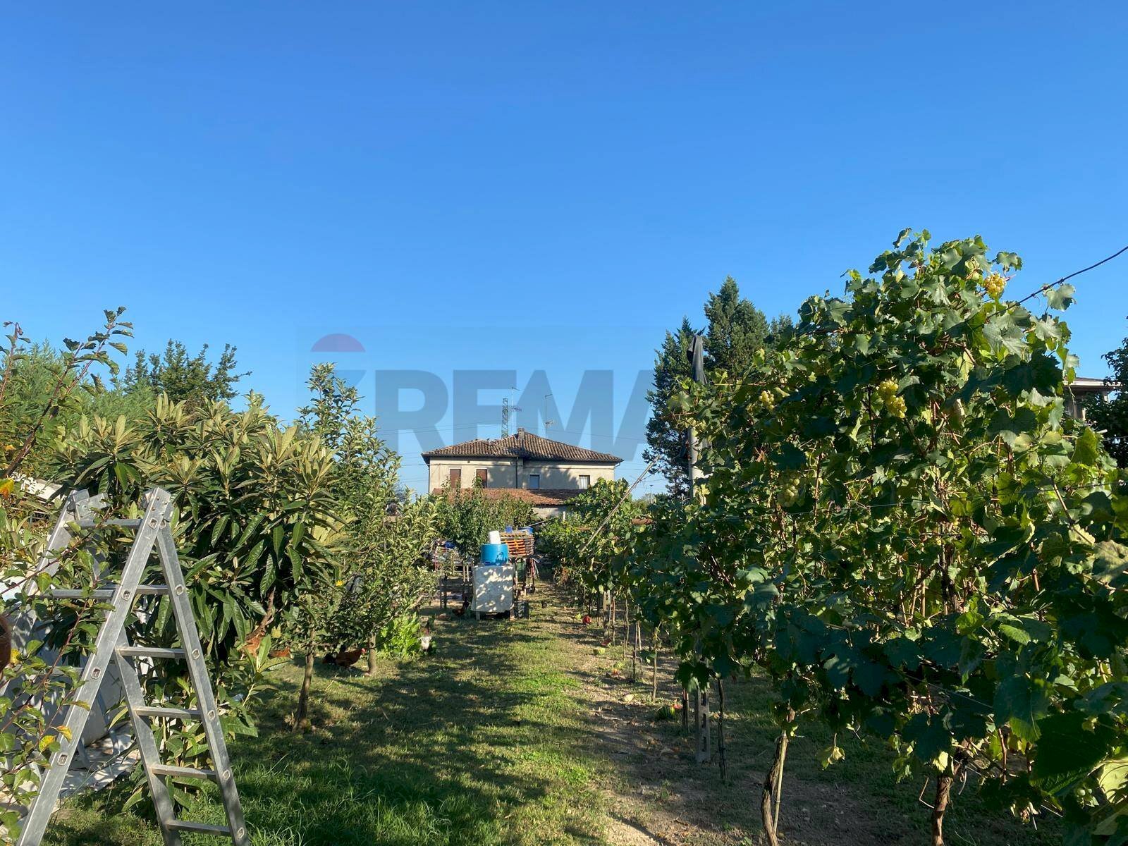 Giardino - Three-room apartment STRADA NAVIGLIA
 
30, Parma - photo 3