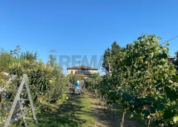 Giardino - Three-room apartment STRADA NAVIGLIA
 
30, Parma - photo 3