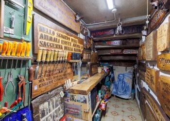 Dispensa di stoccaggio - Casa indipendente Via al Macello
 
15, Colorno - foto 50