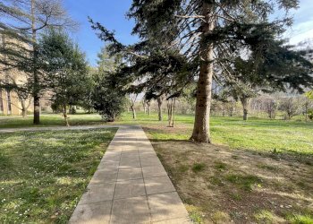 Foto 26 - Appartamento Via Marsiglia
 
36, Pesaro - foto 26