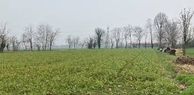 Foto 1 - Terreno agricolo località Roggia, Inzago - foto 1