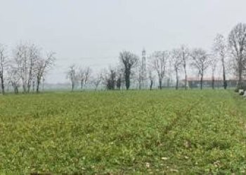 Foto 1 - Terreno agricolo località Roggia, Inzago - foto 1