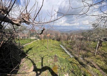 Vista delle montagne - Appartamento via Cappella
 
116, Pesco Sannita - foto 12