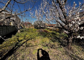 Giardino - Baita Ceppaloni - photo 9