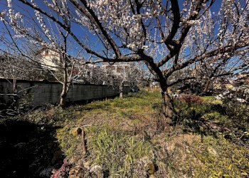 Giardino - Baita Ceppaloni - photo 10