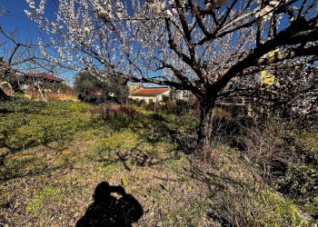 Giardino - Baita Ceppaloni - photo 11