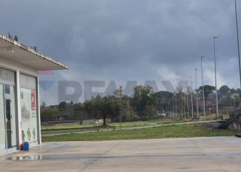 Terrazza - Locale Commerciale Mirabella Eclano - foto 5