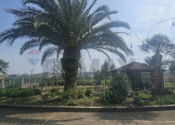 Non correlato - Villa C/da Piano Cappelle, Benevento - foto 12