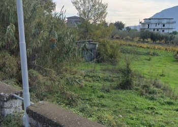 Giardino - Terreno edificabile Localita' Santa Lucia
 
snc, Guardia Sanframondi - foto 6