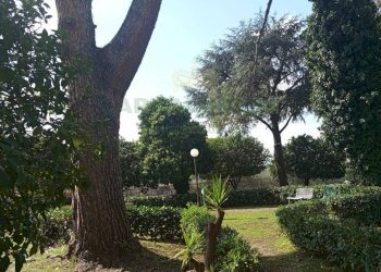 Foto 34 - Attico Via Eugenio Ruggiero, Caserta - foto 34