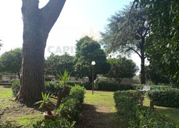 Foto 40 - Attico Via Eugenio Ruggiero, Caserta - foto 40