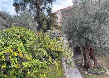 Foto 29 - Three-room apartment Bordighera - photo 29