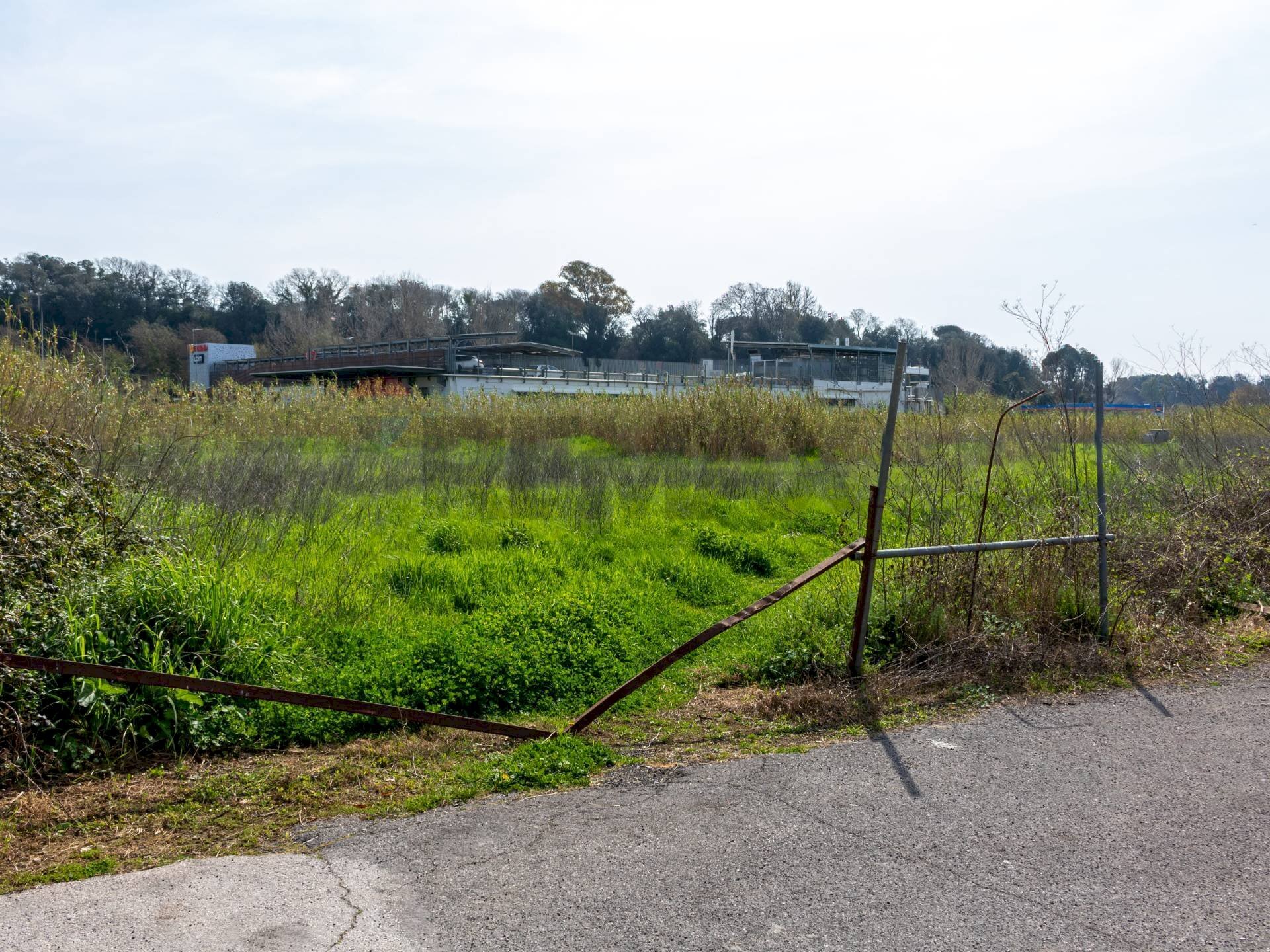 Giardino - Terreno edificabile VIA VIRGILIO
 
SNC, Ardea - foto 1