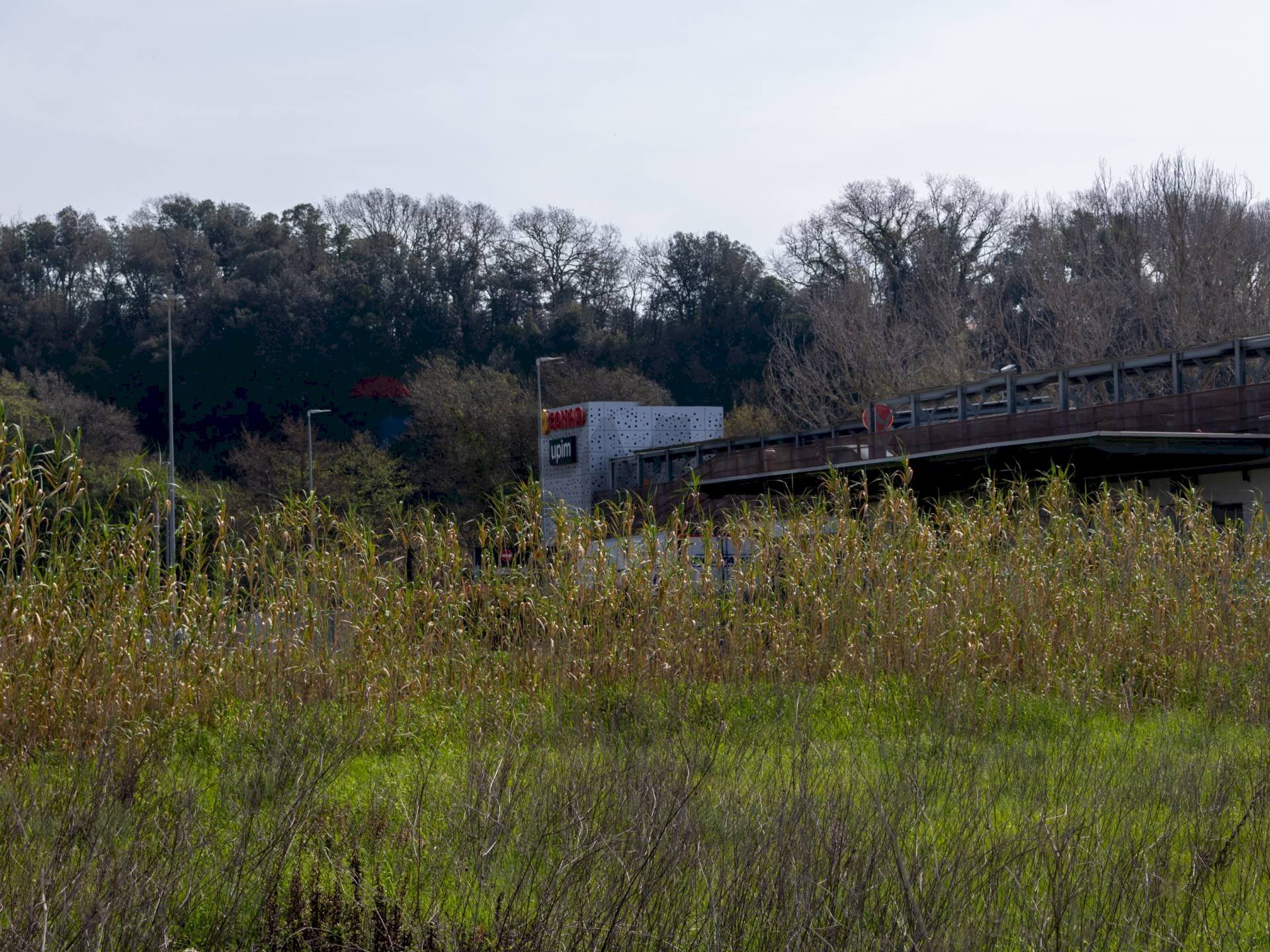 Non correlato - Terreno edificabile VIA VIRGILIO
 
SNC, Ardea - foto 2