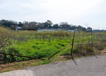 Giardino - Terreno edificabile VIA VIRGILIO
SNC, Ardea - foto 1