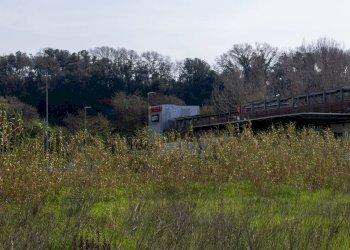 Non correlato - Terreno edificabile VIA VIRGILIO
SNC, Ardea - foto 2