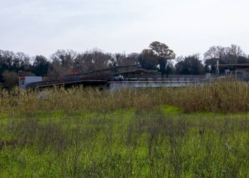 Giardino - Terreno edificabile VIA VIRGILIO
SNC, Ardea - foto 3