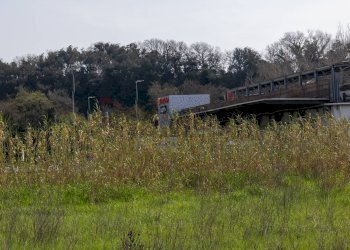 Giardino - Terreno edificabile VIA VIRGILIO
SNC, Ardea - foto 4