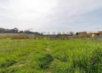 Giardino - Terreno edificabile VIA VIRGILIO
SNC, Ardea - foto 7