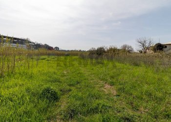 Giardino - Terreno edificabile VIA VIRGILIO
SNC, Ardea - foto 8