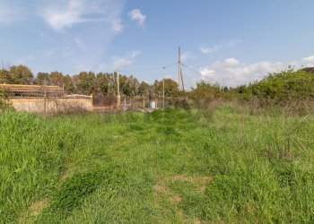 Giardino - Terreno edificabile VIA VIRGILIO
SNC, Ardea - foto 9