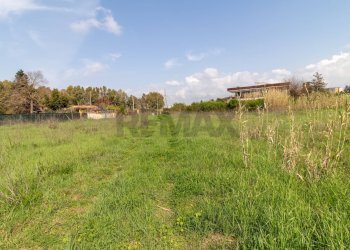 Giardino - Terreno edificabile VIA VIRGILIO
SNC, Ardea - foto 10