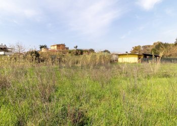 Giardino - Terreno edificabile VIA VIRGILIO
SNC, Ardea - foto 11