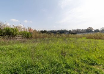 Giardino - Terreno edificabile VIA VIRGILIO
SNC, Ardea - foto 12