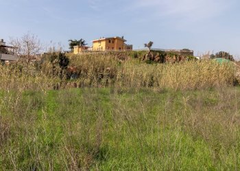 Edificio all\'aperto - Terreno edificabile VIA VIRGILIO
SNC, Ardea - foto 13