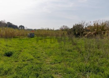 Giardino - Terreno edificabile VIA VIRGILIO
SNC, Ardea - foto 14