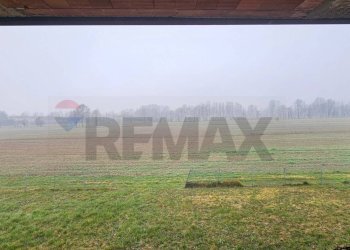 Giardino - Casa semi indipendente Santa Giustina in Colle - foto 13