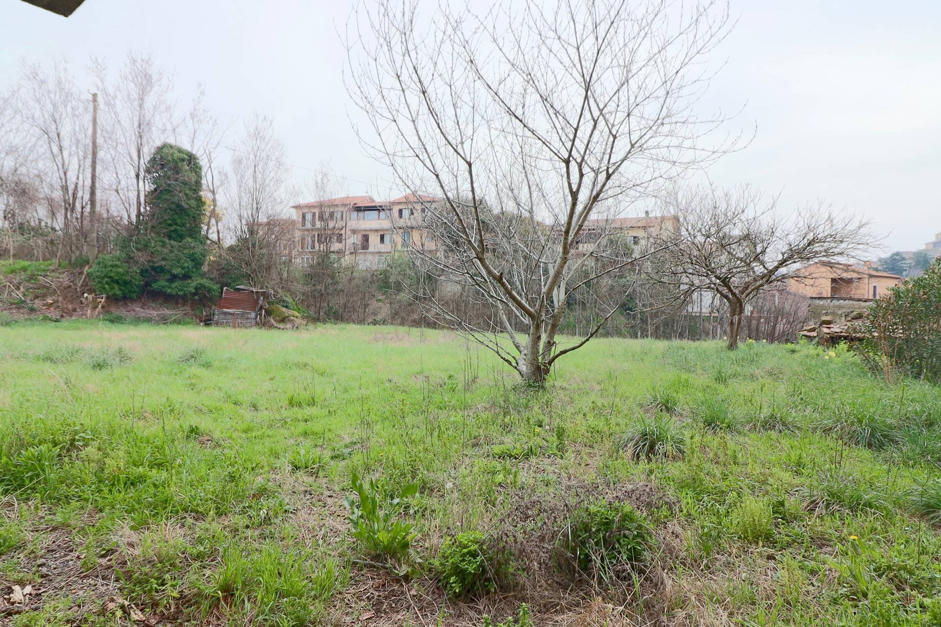 Foto 2 - Appartamento VIA DELLE PRATA, Vetralla - foto 2