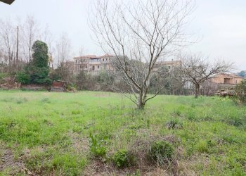 Foto 2 - Appartamento VIA DELLE PRATA, Vetralla - foto 2