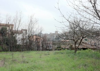 Foto 5 - Appartamento VIA DELLE PRATA, Vetralla - foto 5