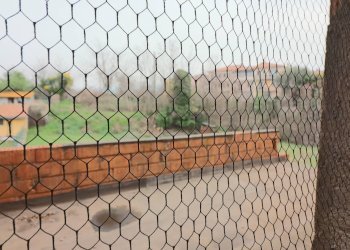 Foto 8 - Appartamento VIA DELLE PRATA, Vetralla - foto 8