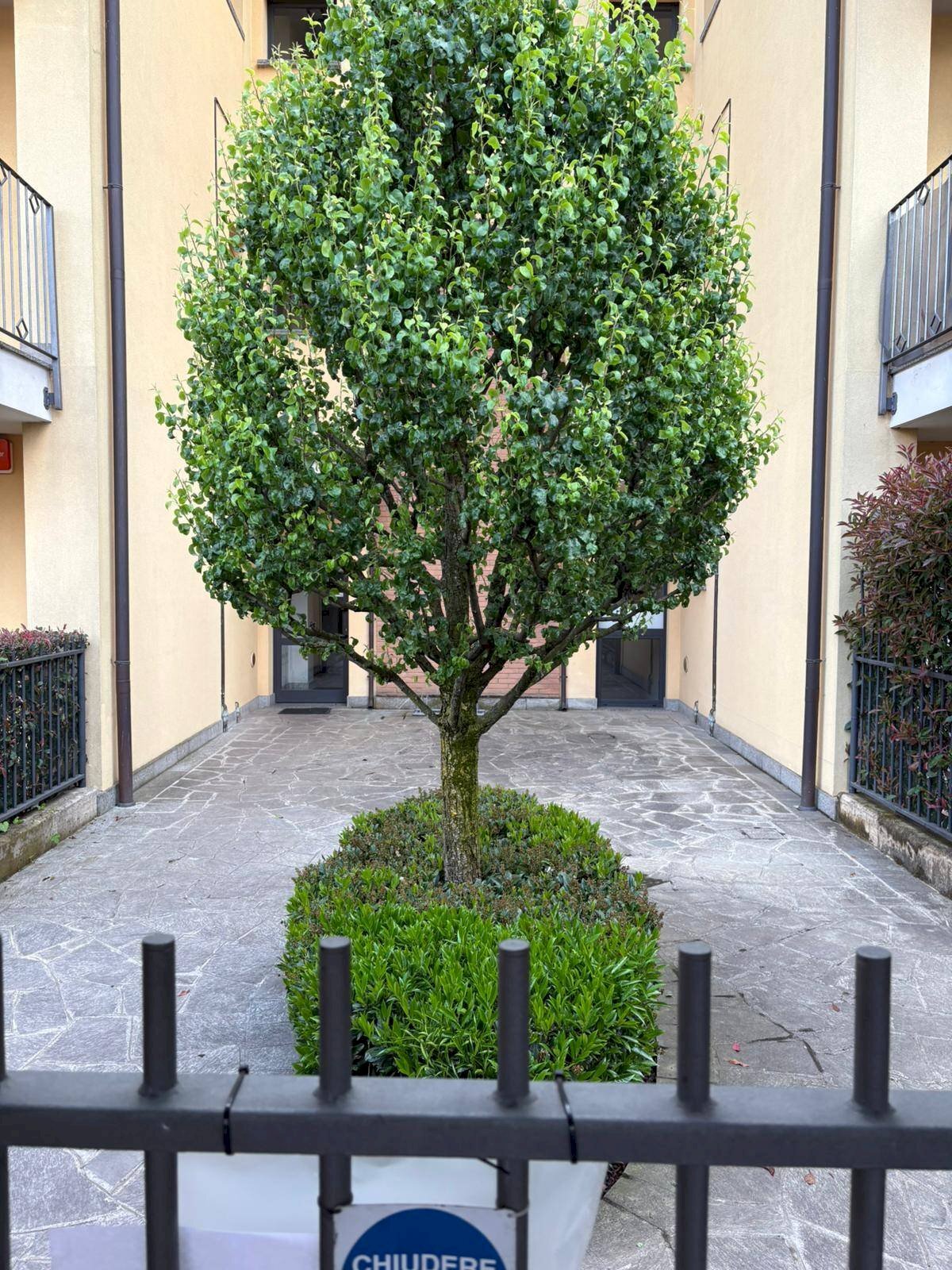 Foto 2 - Trilocale Don Villa
 
9, Cornate d'Adda - foto 2