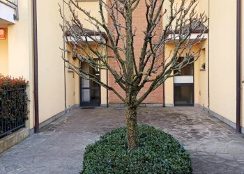 Foto 1 - Three-room apartment Don Villa
 
9, Cornate d'Adda - photo 1