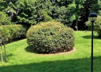 Foto 2 - Trilocale via Volta
 
49, Rho - foto 2