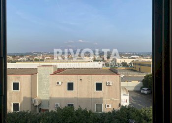 Foto 38 - Capannone Via dei Piani di Monte Savello, Roma - foto 38