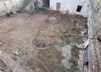 Foto 7 - Independent house Macerata Campania - photo 7