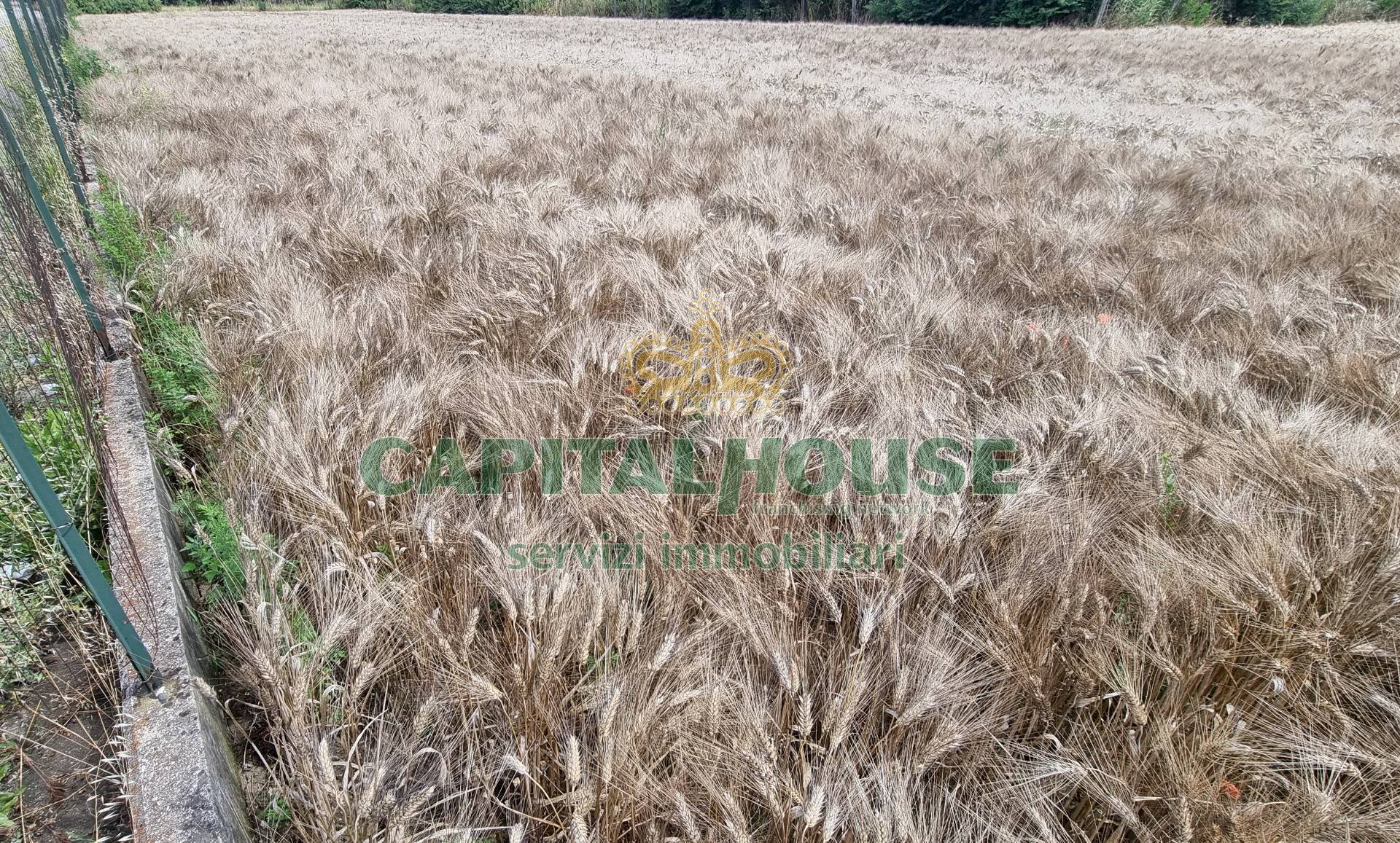 Foto 1 - Terreno agricolo Recale - foto 1