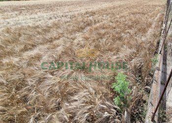 Foto 18 - Terreno agricolo Recale - foto 18