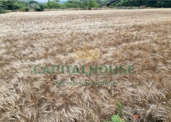 Foto 19 - Terreno agricolo Recale - foto 19