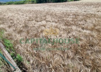 Foto 20 - Terreno agricolo Recale - foto 20