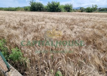 Foto 22 - Terreno agricolo Recale - foto 22