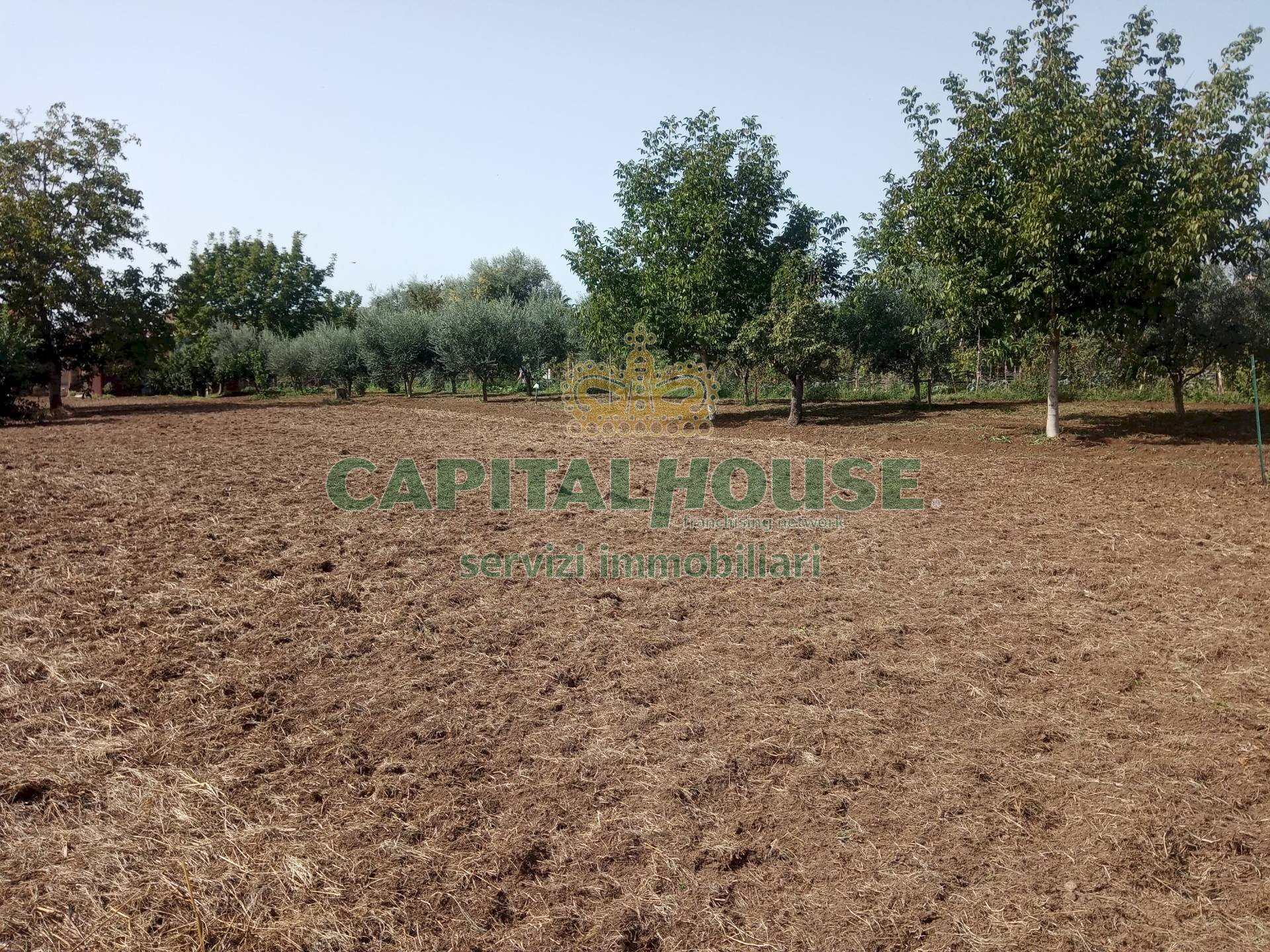 Foto 3 - Terreno edificabile de gasperi, Pastorano - foto 3