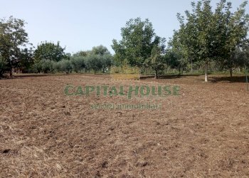 Foto 3 - Terreno edificabile de gasperi, Pastorano - foto 3