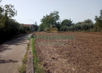 Foto 4 - Terreno edificabile de gasperi, Pastorano - foto 4