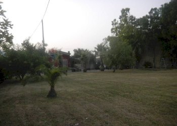 Giardino - Villa Minturno - foto 23