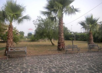 Giardino - Villa Minturno - foto 27